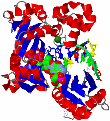 Image Asym./Biol. Unit