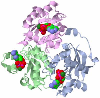 Image Biological Unit 1