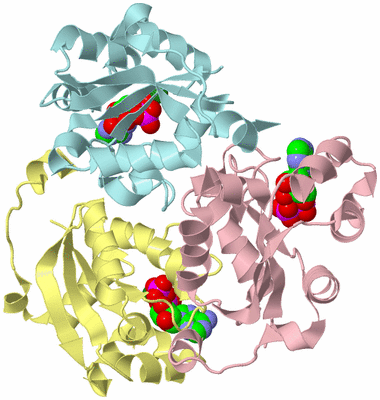 Image Biological Unit 2