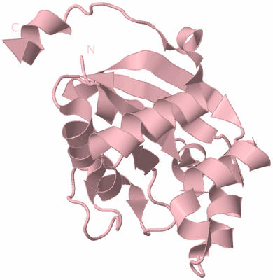 Image Biological Unit 3