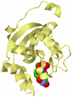 Image Biological Unit 4