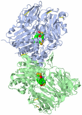 Image Asym./Biol. Unit