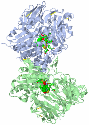 Image Asym./Biol. Unit - sites