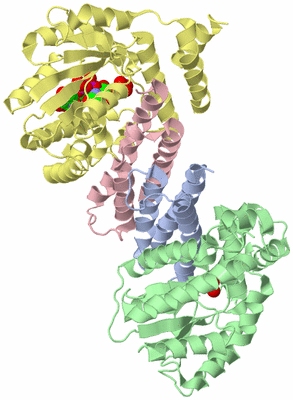 Image Asym./Biol. Unit