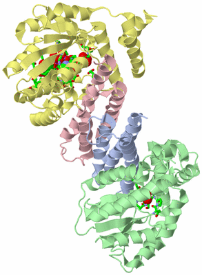 Image Asym./Biol. Unit - sites