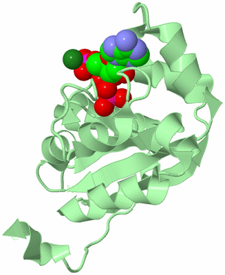 Image Biological Unit 2