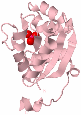 Image Biological Unit 3