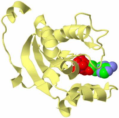 Image Biological Unit 4