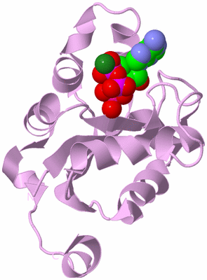 Image Biological Unit 5