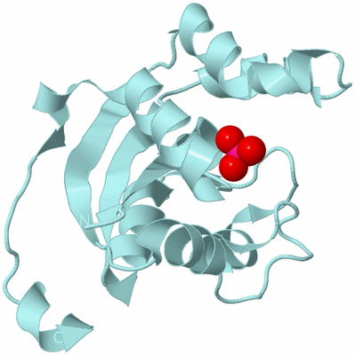 Image Biological Unit 6