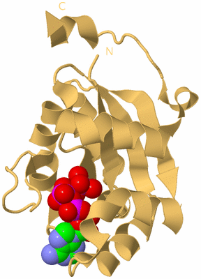 Image Biological Unit 7