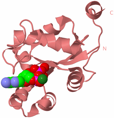 Image Biological Unit 8