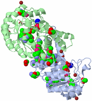 Image Biological Unit 1