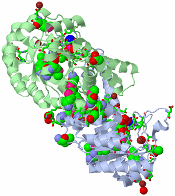 Image Biol. Unit 1 - sites