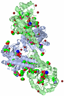 Image Biological Unit 2