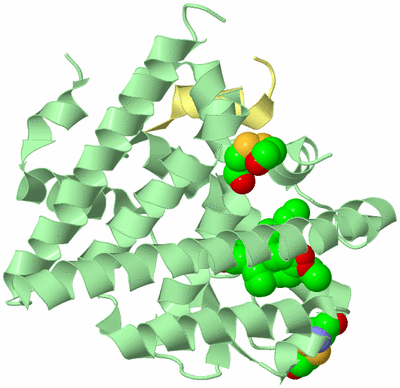 Image Biological Unit 2