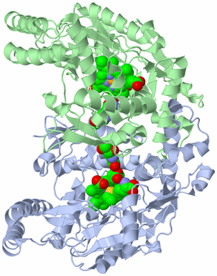 Image Asym./Biol. Unit