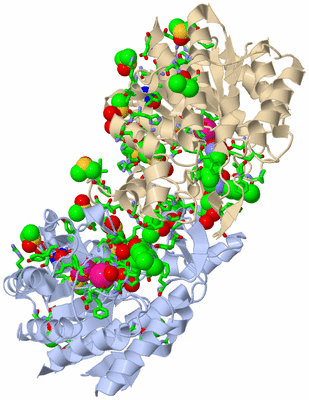 Image Biol. Unit 1 - sites