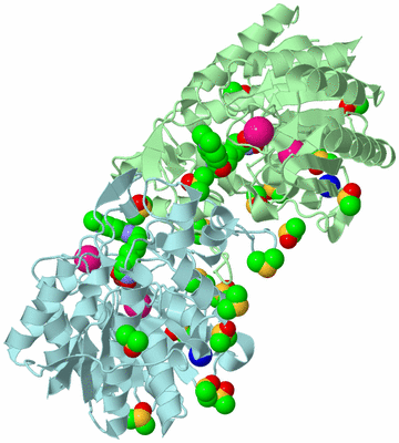 Image Biological Unit 2