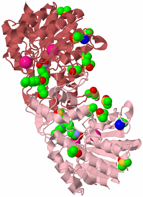 Image Biological Unit 3