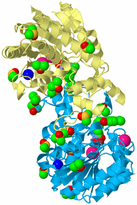 Image Biological Unit 4