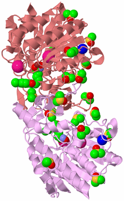 Image Biological Unit 5