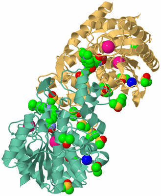 Image Biological Unit 6