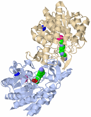 Image Biological Unit 1