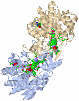 Image Biol. Unit 1 - sites