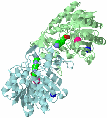 Image Biological Unit 2