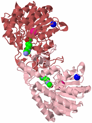 Image Biological Unit 3