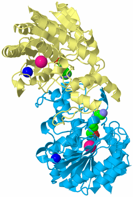 Image Biological Unit 4