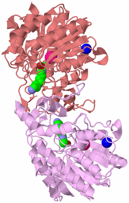 Image Biological Unit 5