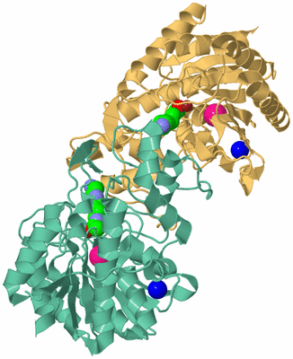 Image Biological Unit 6