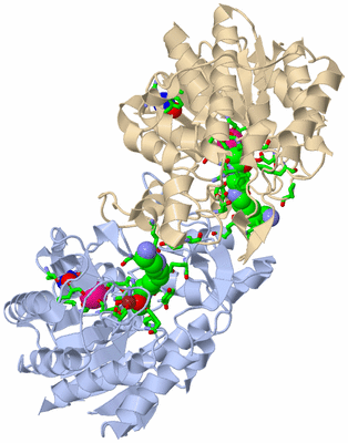 Image Biol. Unit 1 - sites