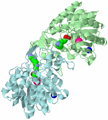 Image Biological Unit 2