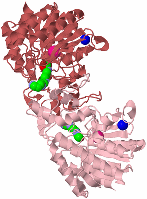 Image Biological Unit 3