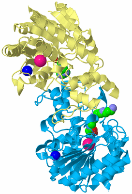 Image Biological Unit 4