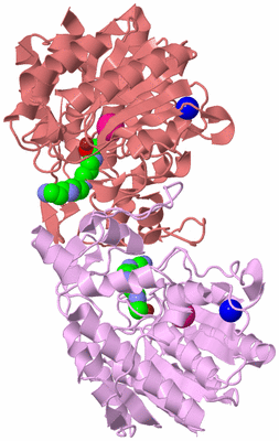 Image Biological Unit 5