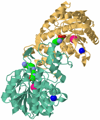 Image Biological Unit 6