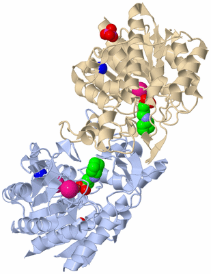 Image Biological Unit 1