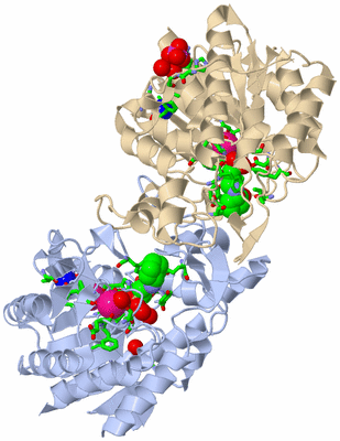 Image Biol. Unit 1 - sites