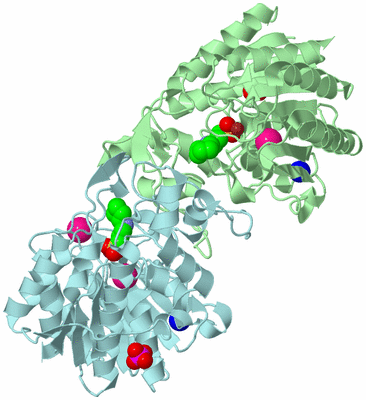 Image Biological Unit 2