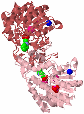 Image Biological Unit 3