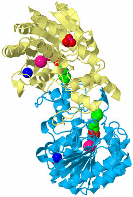 Image Biological Unit 4