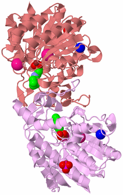 Image Biological Unit 5