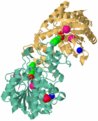 Image Biological Unit 6