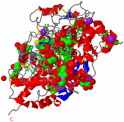 Image Asym./Biol. Unit - sites