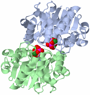 Image Biological Unit 1