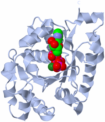 Image Biological Unit 2